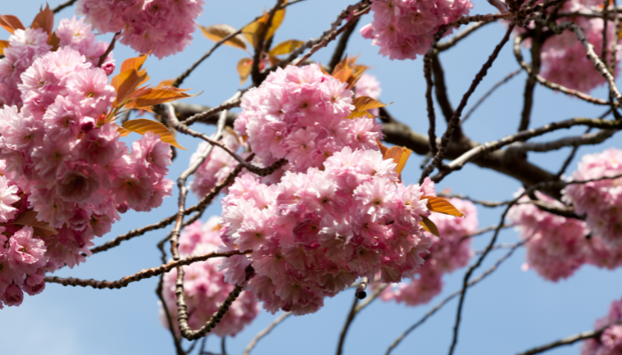 Spring Statement set for 3 March 2026