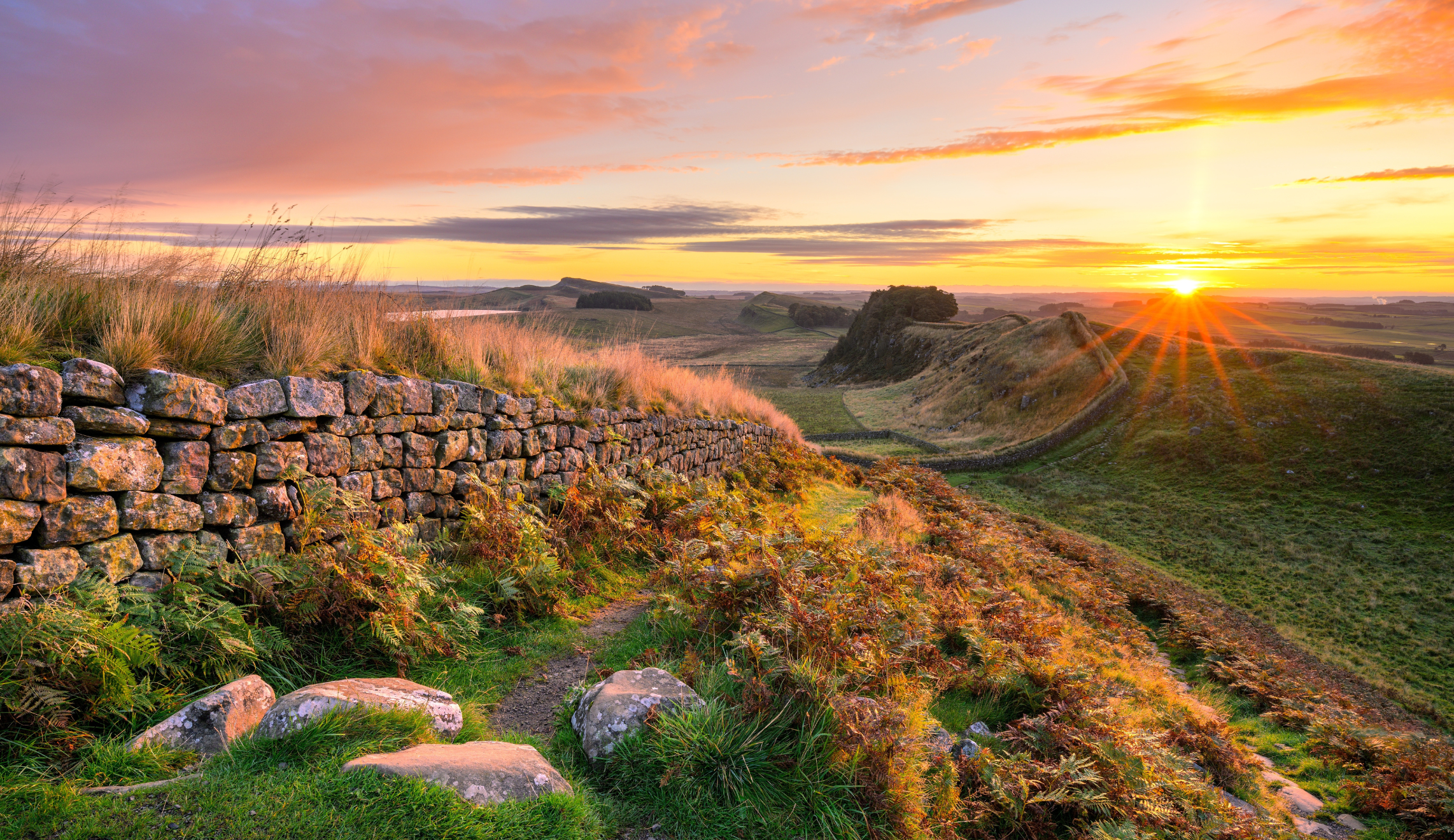 Spring Statement 2026 Banner Photo